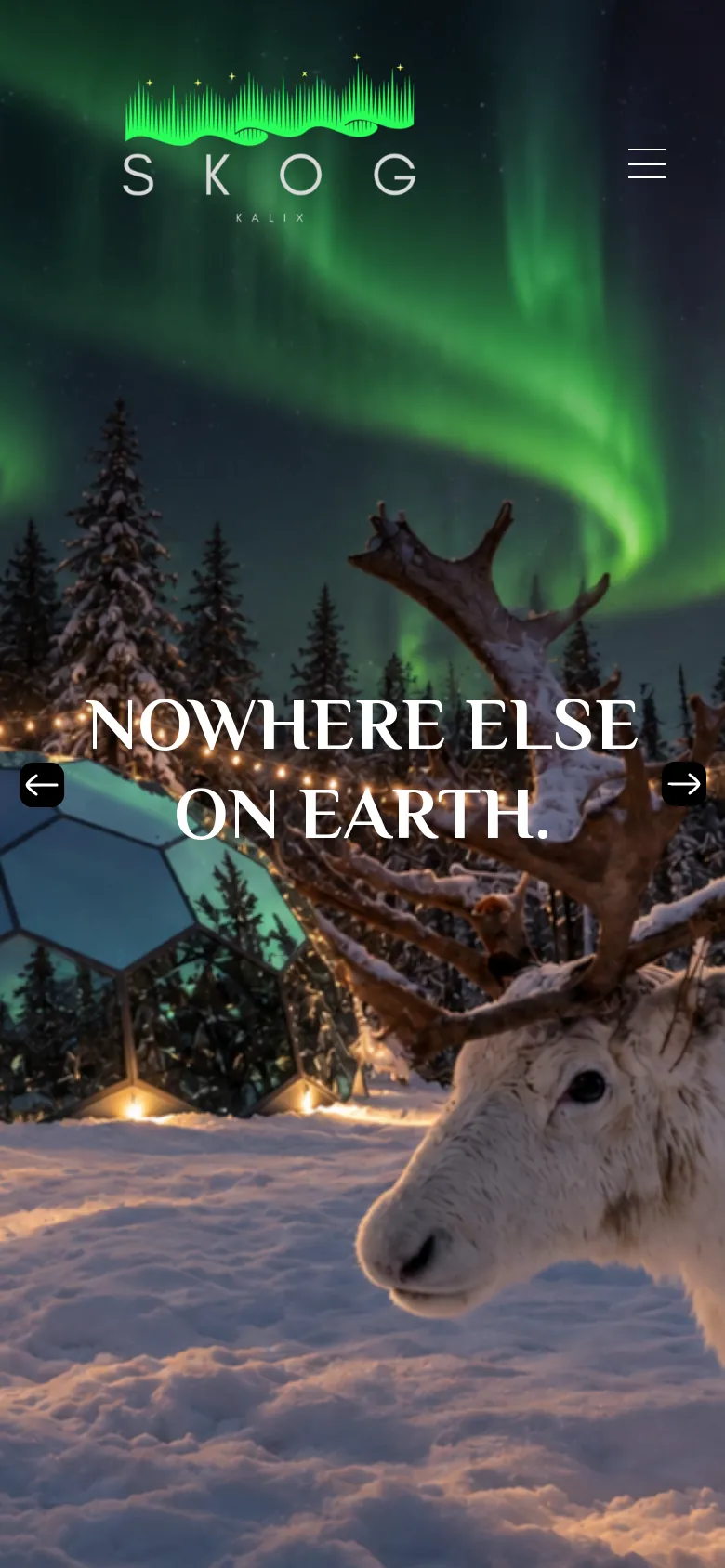 SKOG Aurora Igloos Resort Website website on mobile